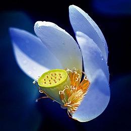 《Apex英雄》玩家已经发现《战地2042》高速移动技巧 